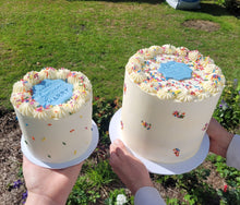 Load image into Gallery viewer, Bento Cake